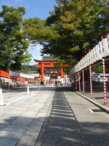 秋晴れ_表参道