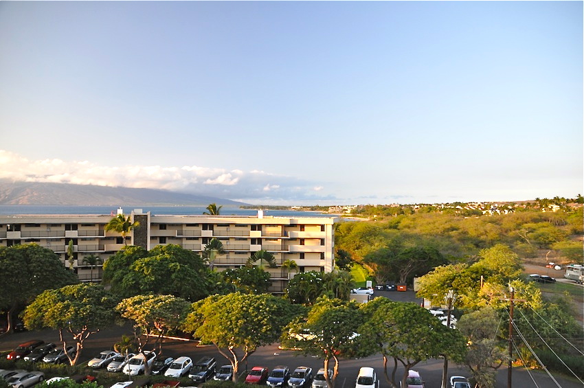 DSC_0038 2011.12.31.jpg