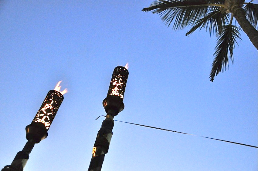 DSC_0072 2011.12.31.jpg