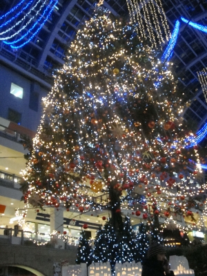 201412212.jpg
