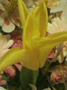 120302_1805~01.jpg