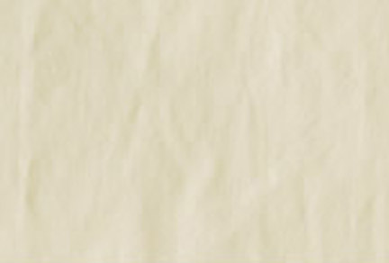 MS3011-19FABIVORY.jpg