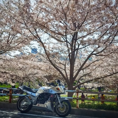 2018 春
