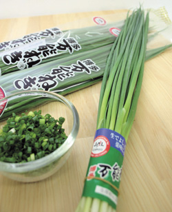 万能ねぎ2