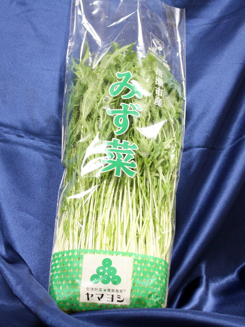 大根河岸第46回配布物02