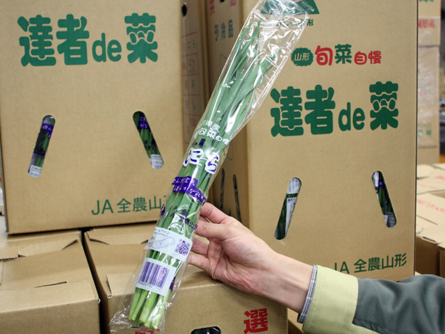 大根河岸第49回配布予定02