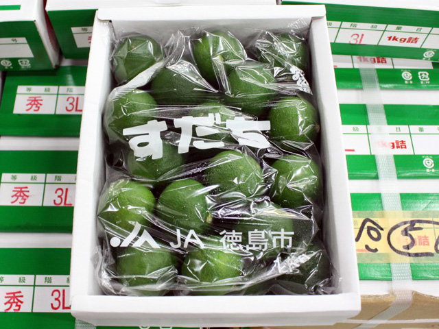 大根河岸第52回配布物04