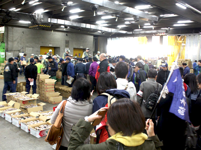 築地やさいくだものツアー最終回03