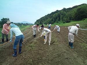 F1000007s畝だて.jpg