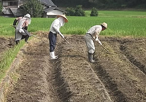 畦均しs.jpg