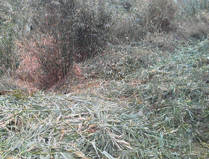 20120122093336s.jpg