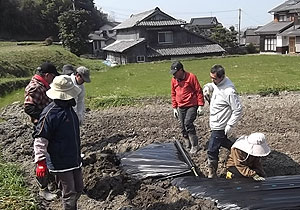 マルチ被せs.jpg