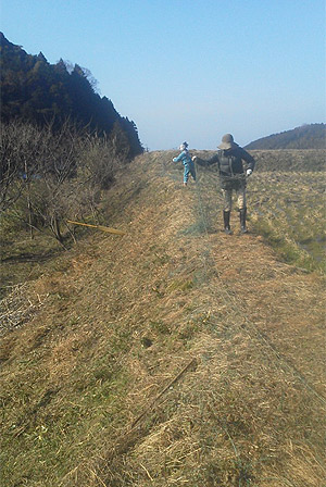 130202_0081m.jpg