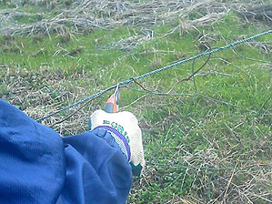 130202_0086.jpg