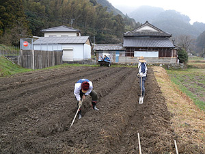 畝立て整え4058s.jpg