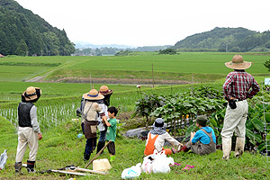 20140712_084941大豆種まきs.jpg