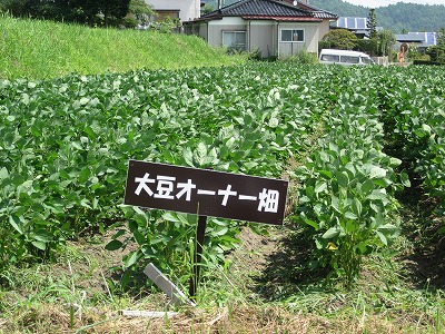 草取り後
