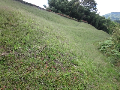 飯田市山本実証畦畔