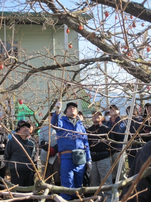 H24剪定講習会