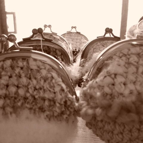DCIM0093.jpg