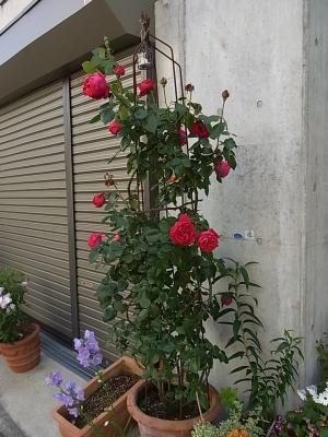 RIMG0099.JPG