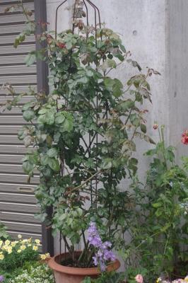 IMGP3117.JPG