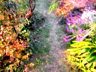 IMG_0140.JPG