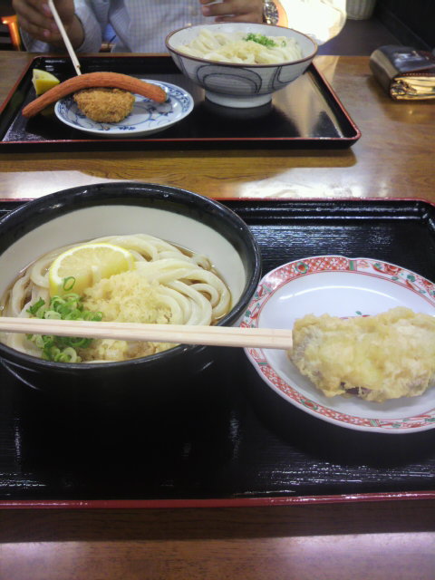 P1010017.jpg