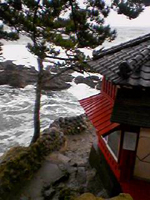 福島4
