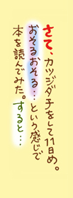 活字4−4−3