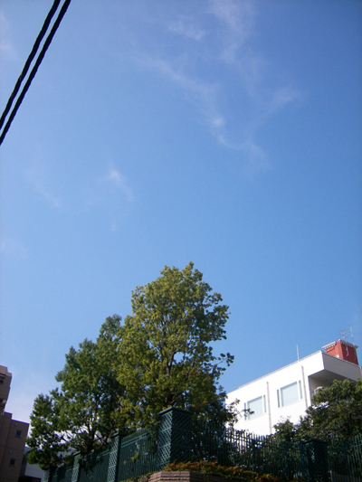 夏といえば ネ 東京イラストjournal