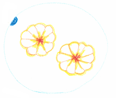イラスト2