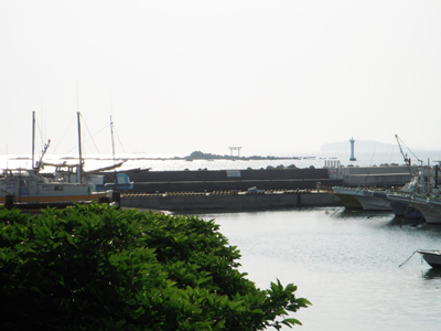 海