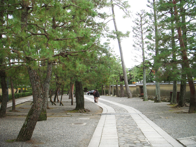 大徳寺6.jpg