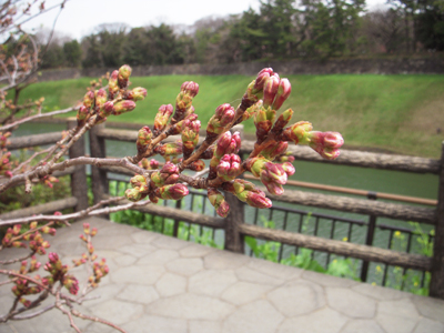 DSCN9089_5774.JPG