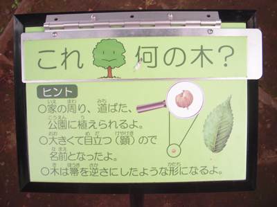 DSCN9694_6335.JPG