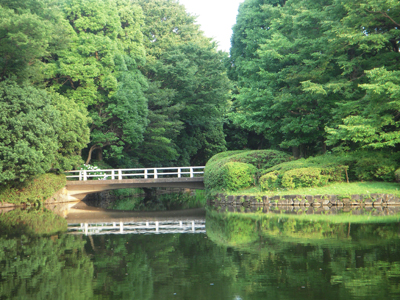 公園2.jpg