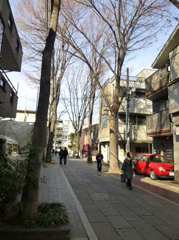 P1060485_7246.JPG