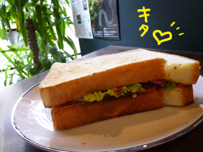 P1060486_7247.JPG