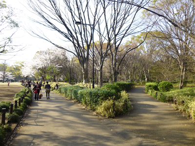 公園内2.jpg