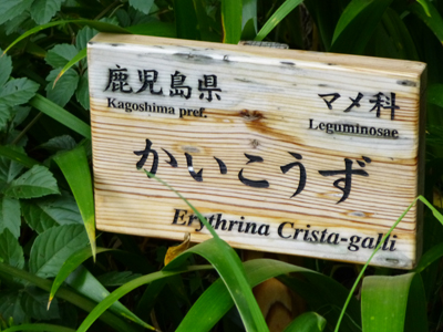 かいこうず2.jpg