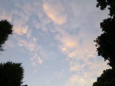 雨後の公園8.jpg