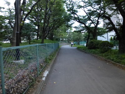 竹橋門10.jpg