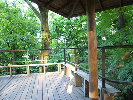 公園1.jpg