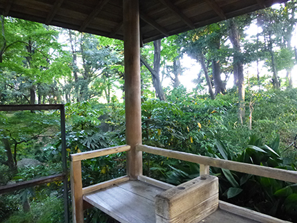 公園2.jpg