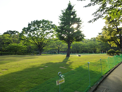 公園4.jpg