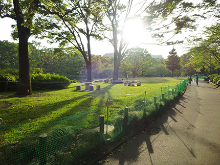 公園5.jpg