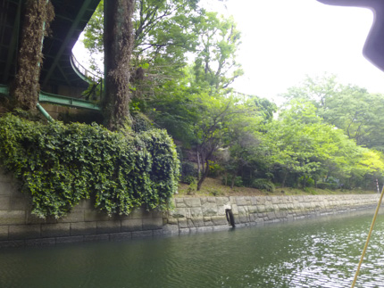 神田川_1.JPG