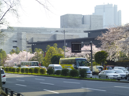 桜_7.JPG