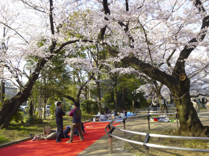 桜_19.JPG